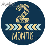 Tribal Arrows Baby Boy Month Stickers