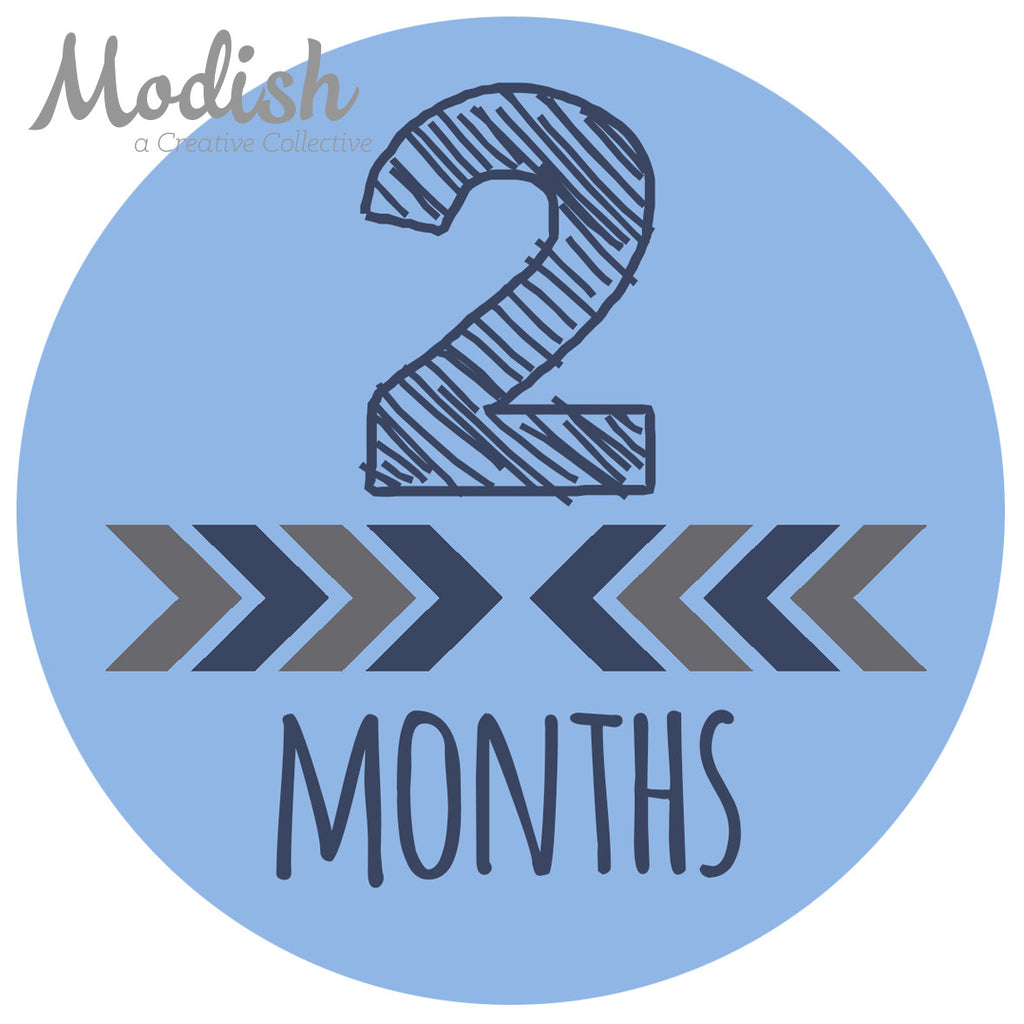 Arrows Teal Gray Month Stickers – Modish Labels