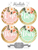 Floral Pink Mint Gold Monthly Baby Stickers