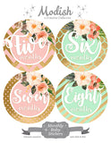 Floral Pink Mint Gold Monthly Baby Stickers
