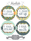 Whimsical Arrows Dots Stripes Month Stickers