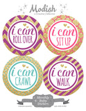 Gold Pink Purple Teal Monthly Baby Stickers