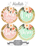 Floral Pink Mint Gold Monthly Baby Stickers