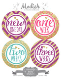 Gold Pink Purple Teal Monthly Baby Stickers