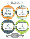 Whimsical Arrows Dots Stripes Month Stickers
