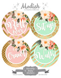 Floral Pink Mint Gold Monthly Baby Stickers