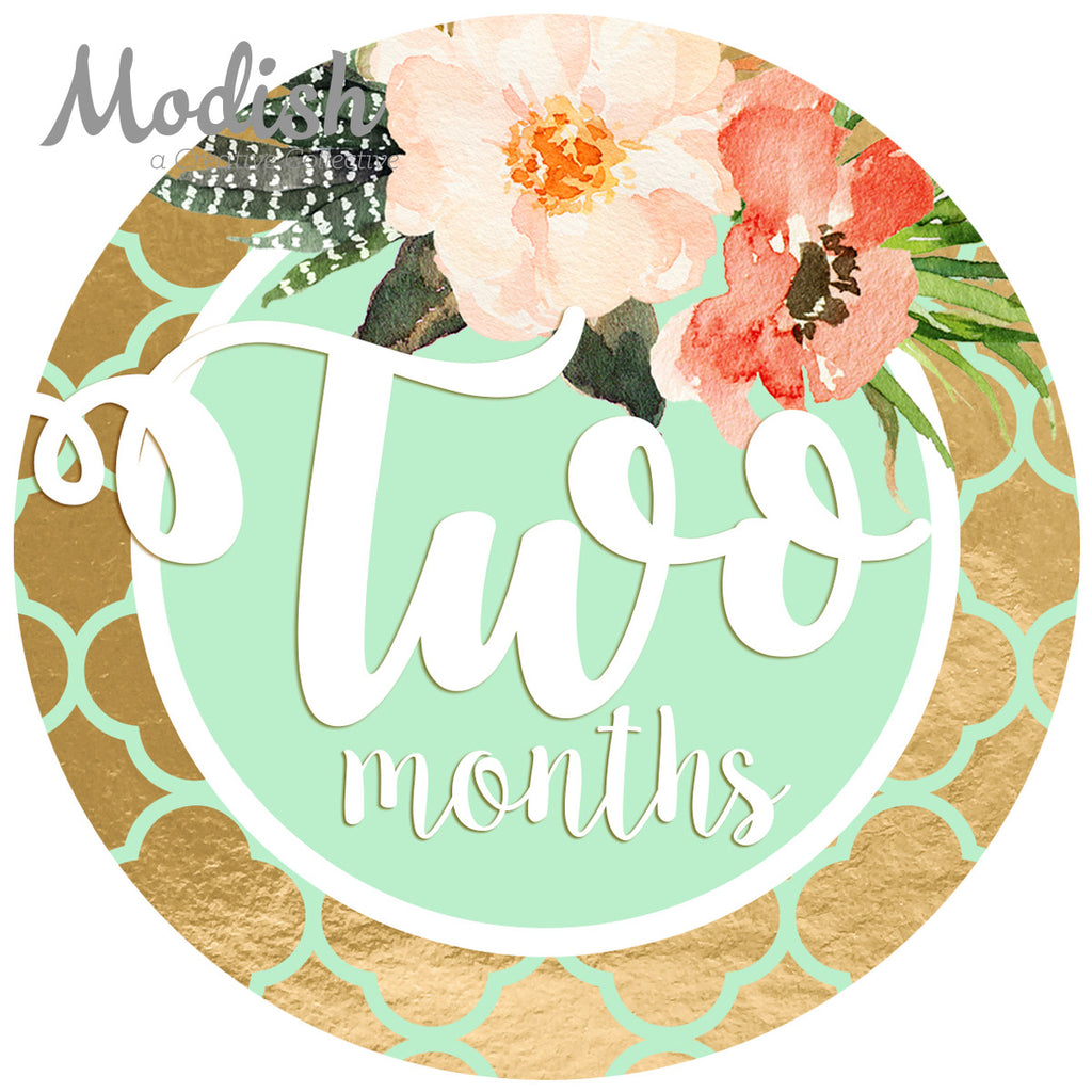Floral Pink Mint Gold Monthly Baby Stickers - Baby Girl – Modish Labels