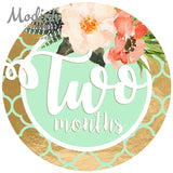 Floral Pink Mint Gold Monthly Baby Stickers