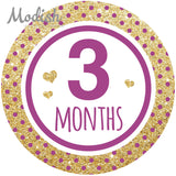 Gold Pink Purple Teal Monthly Baby Stickers
