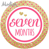 Gold Pink Purple Teal Monthly Baby Stickers