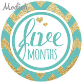 Gold Pink Purple Teal Monthly Baby Stickers