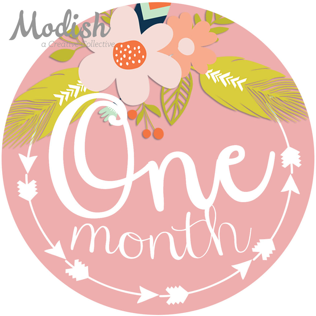 Tribal Flowers Baby Month Stickers - Feathers Arrows Baby Girl