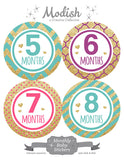 Gold Pink Purple Teal Monthly Baby Stickers