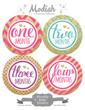 Gold Pink Purple Teal Monthly Baby Stickers