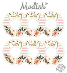 Girl Nursery Closet Dividers