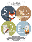 Woodland Tribal Animals Monthly Baby Stickers
