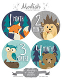 Woodland Animals Monthly Baby Stickers