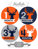 Deer Antlers Woodland Monthly Baby Stickers