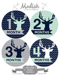 Deer Antlers Woodland Monthly Baby Stickers