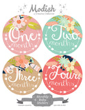 Arrows Tribal Flowers Monthly Baby Stickers