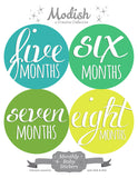 Over the Rainbow Monthly Baby Stickers