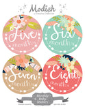 Arrows Tribal Flowers Monthly Baby Stickers