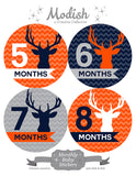 Deer Antlers Woodland Monthly Baby Stickers