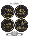 Black Gold Arrows Monthly Baby Stickers