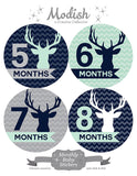 Deer Antlers Woodland Monthly Baby Stickers