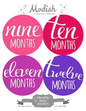 Over the Rainbow Monthly Baby Stickers
