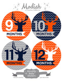 Deer Antlers Woodland Monthly Baby Stickers