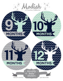 Deer Antlers Woodland Monthly Baby Stickers