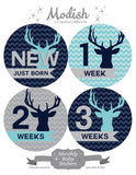 Deer Antlers Woodland Monthly Baby Stickers