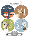 Woodland Tribal Animals Monthly Baby Stickers