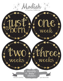 Black Gold Arrows Monthly Baby Stickers