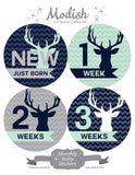 Deer Antlers Woodland Monthly Baby Stickers