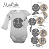 Arrows Brown Tribal Baby Boy Month Stickers