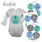 Arrows Teal Tribal Baby Boy Month Stickers