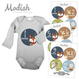 Woodland Tribal Animals Monthly Baby Stickers