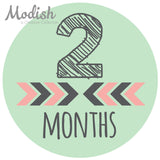 Tribal Arrows Pink Mint Baby Girl Month Stickers