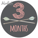 Tribal Arrows Pink Mint Baby Girl Month Stickers