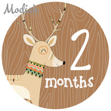 Woodland Tribal Animals Monthly Baby Stickers