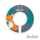 Woodland Animals Closet Dividers