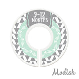 Tribal Arrows Mint Gray Closet Dividers