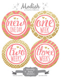 Coral Gold Monthly Baby Stickers