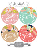 Arrows Tribal Flowers Monthly Baby Stickers