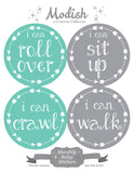 Arrows Teal Gray Month Stickers