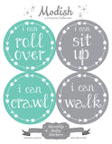 Teal Gray Arrows Month Stickers