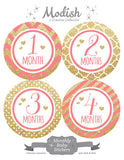 Coral Gold Monthly Baby Stickers