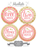 Coral Gold Monthly Baby Stickers